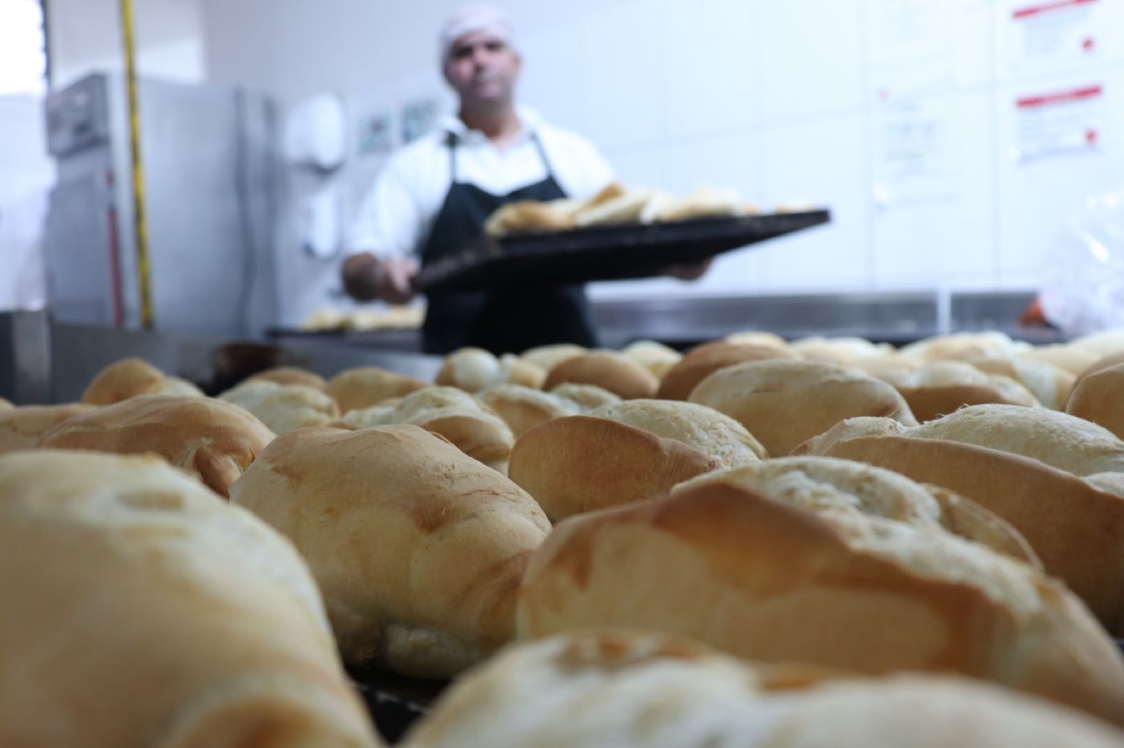Equipe da Kero+ na produção, com bandejas de pães prontas para o congelamento